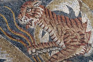 Detail of a tiger, Tellaro mosaic