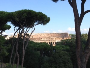 View of the colosseum from Palatine Hill