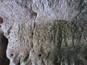 Inscription indicating student seating, Gymnasium