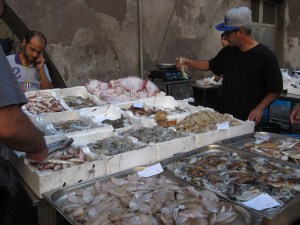Abundance of fish, Catania fish market