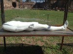 Nino Longobardi, "Athlete" (one of 4 vitrines), plaster figure, life-size, 2013