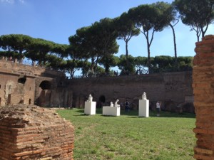 Umbrella pines along the walkway between the Palatine Hill and the Forum