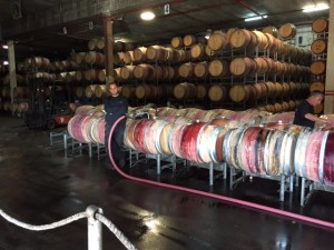 Dalton Winery red wine barrels- the winemaker trained at Navarro Vineyards in Anderson Valley about 13 years ago.