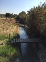 This canal in the reserve was full of carp and catfish.