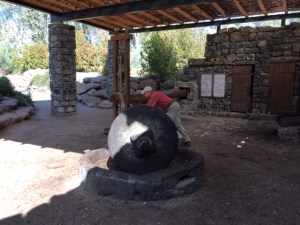 Turning the olive press.