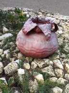 Close up of one of the planters