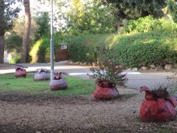 Tractor tires made great planters along the walkways.