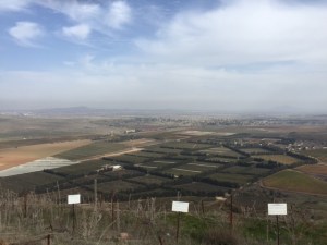 Looking towards Syria on the other side, the fields of Quneitra, the border with Syria and new Quneitra in the distance.  Quiet at the moment.