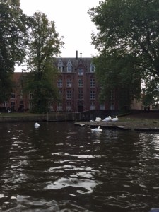 One of the canals has been dammed at the end to create a "Lover's Lake" where there are 100s of swans and ducks.