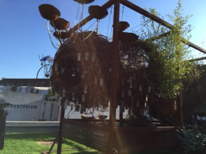 Another view of "The Cocoon"