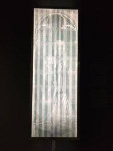 An xray for one of the patron panels.