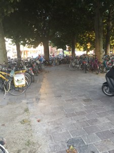 Bicycle parking early in the morning from the commuter rush.