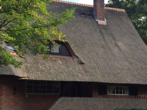 There are fewer and fewer of these roofs but they are quite lovely.  Hope people keep them up!