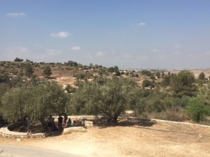 This gives you an idea of what the landscape looked like in biblical times.  It hasn't changed a whole lot since them.  It has been quite hot here but is starting to cool down a little.