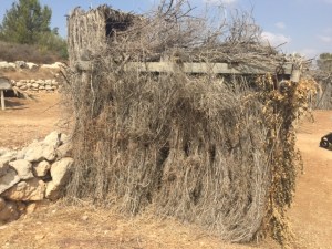 Outside of my favorite one.