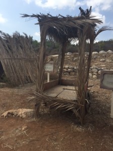 One might think a sukkah on a cart is not okay because it is too portable but it counts as okay though the walls seemed too open to me.