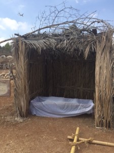 People also sleep in their sukkah.