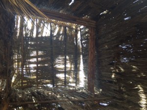 Looking up through the roof of the too tall sukkah.