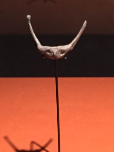 Cognitive Revolution: Hyoid Bone, Middle Paleolithic Period. The hyoid bone is a horseshoe shaped bone in the middle of the neck which anchors the tongue muscles as well as some of the neck. In 1989, the journal "Nature" reported the discovery of this particular hyoid bone at Mt. Carmel belonging to a Neanderthal human proving that Neanderthals could speak.