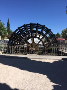 The river runs through the heart of the town and it's sometimes called the Venice of Provence.