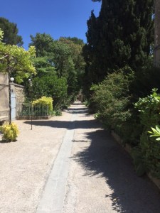 In May 1889 after he mutilated his ear he checked himself into the Cloister and Clinic of St. Paul de Mausole in St. Remy de Provence.
