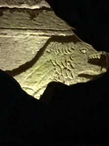 A final image through the wall of one shaft into another- yet again another lion.  