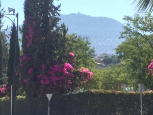 Looking for a place to get a bite to eat we wandered into Kfar Tavor. That is Har Tavor (Mt. Tavor) in the background. Mt. Tavor is famous for the battle between the Prophetess Deborah and Sisra, a Canaanite general. Deborah sent her maidservant into his tent to poke out his eye while he was asleep. Her name was Yael (my daughter's name). It ended the battle and Yael is also the Hebrew word for a kind of mountain goat common in Israel (we chose the name because we liked it- no association with eye poking or goats).