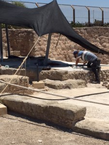 Working on cleaning mosaics still works in progress.