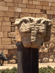 An unusual lion capital.