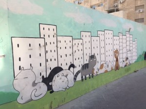 Jerusalem is full of cats, all feral who are into multiple generations since the British brought them here to take care of the rodent problem.  Not many rodents but many many cats.